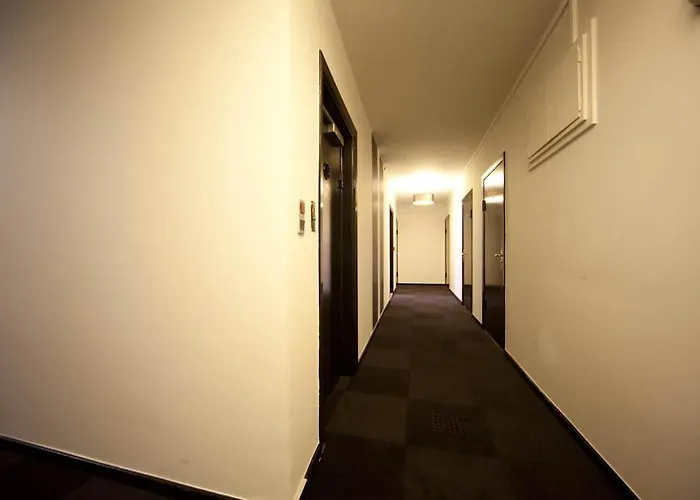 哈莫尼酒店 3* 哈泽斯莱乌